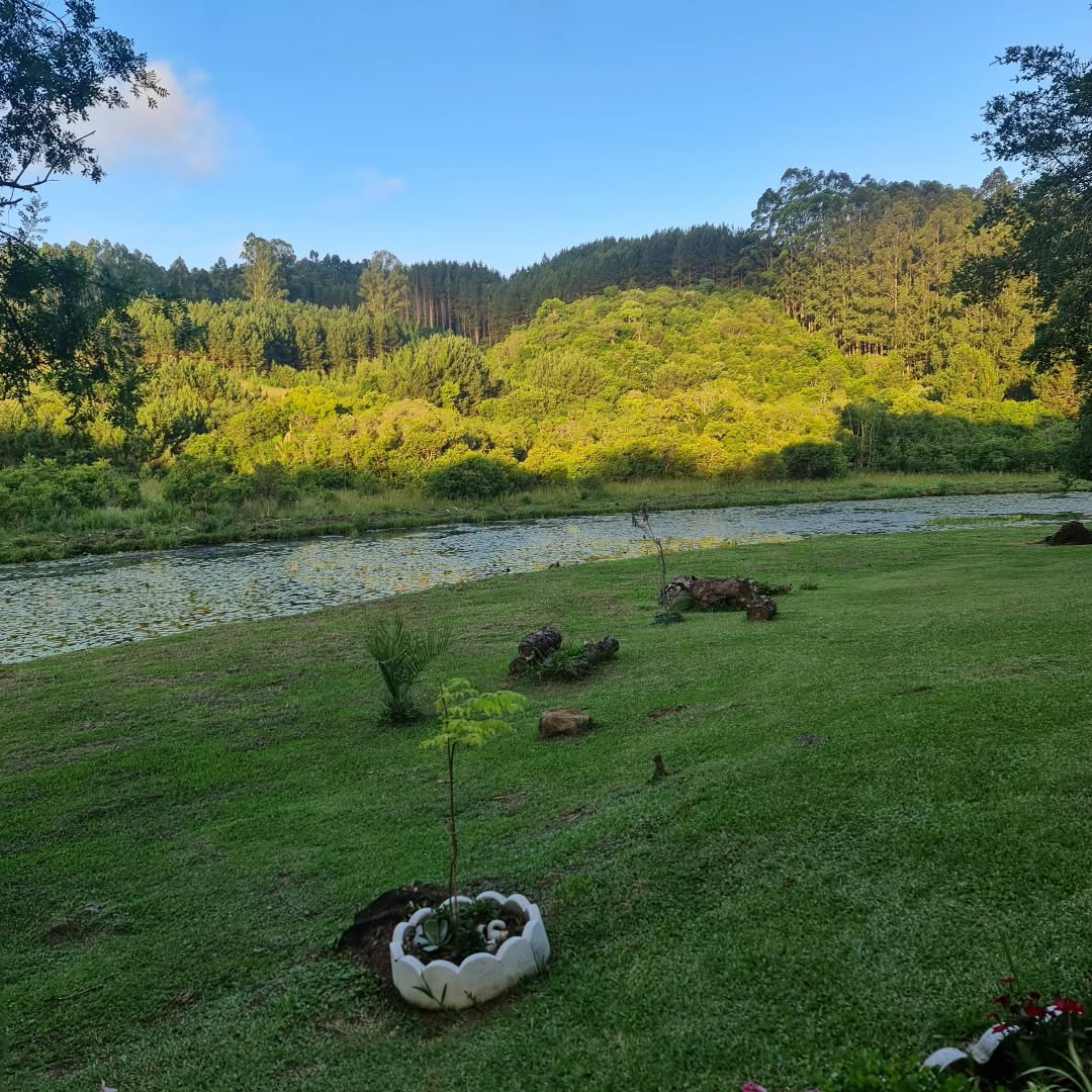 SaveClip.App_469051716_1202235227541838_993370596789162364_n