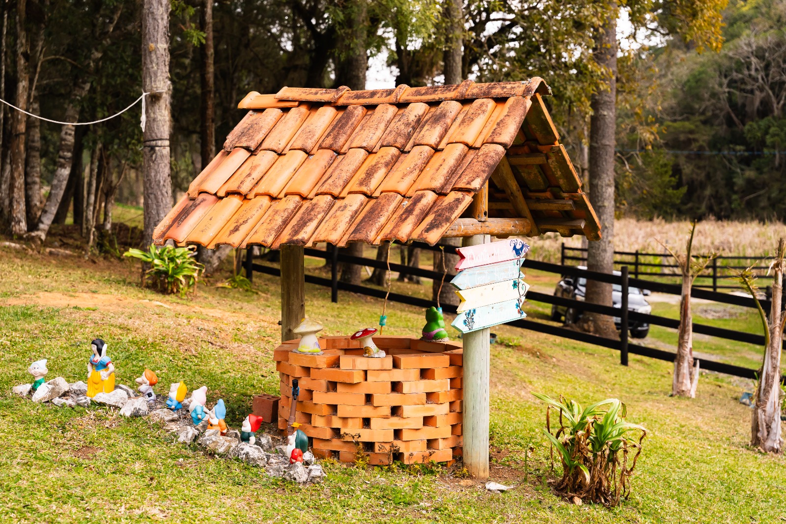 WhatsApp Image 2025-09-05 at 09.46.32 (3)