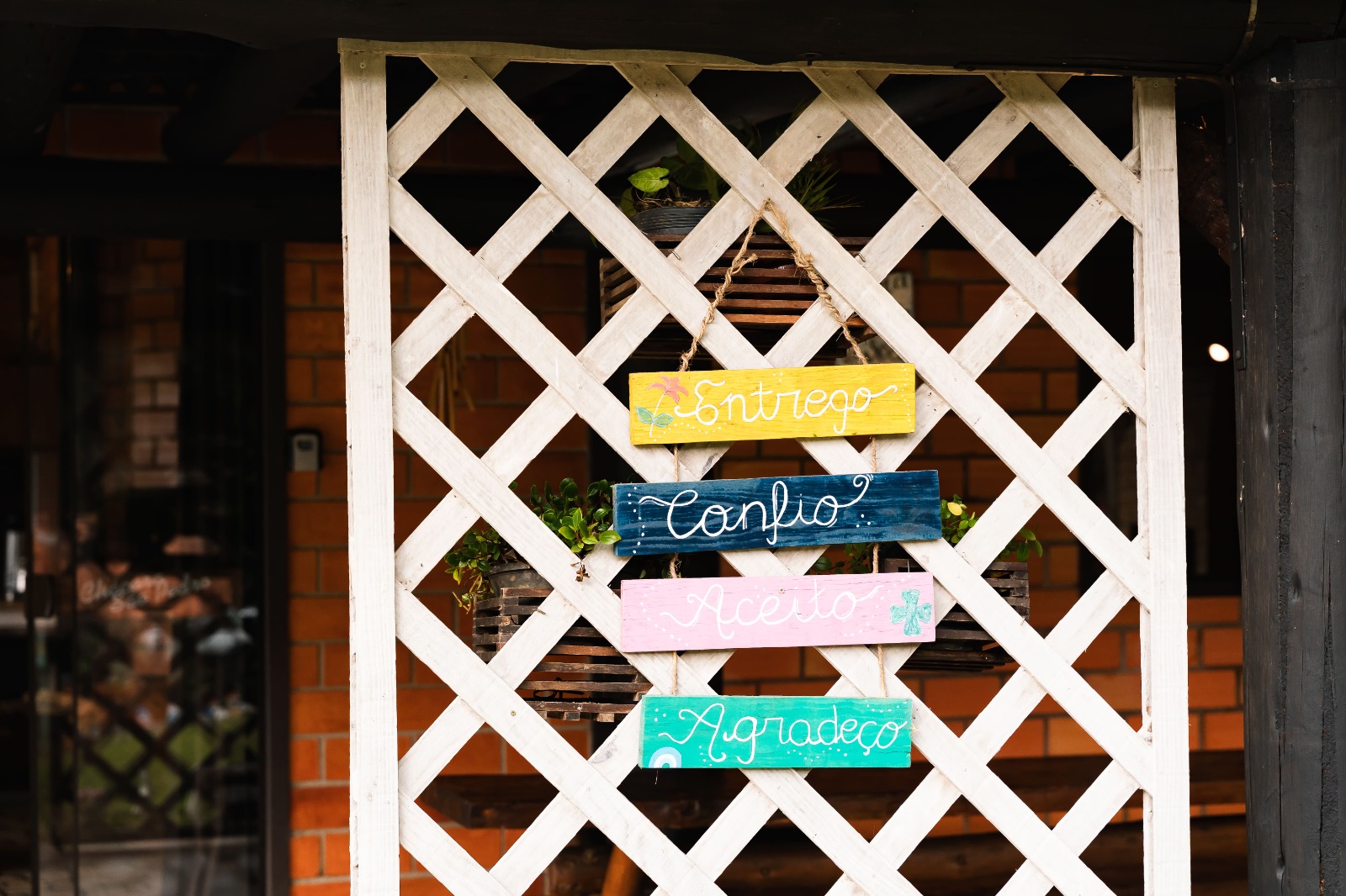 WhatsApp Image 2025-09-05 at 09.46.32 (5)