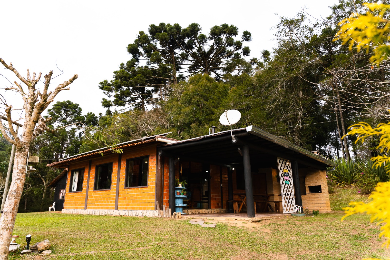 WhatsApp Image 2025-09-05 at 09.46.32 (7)