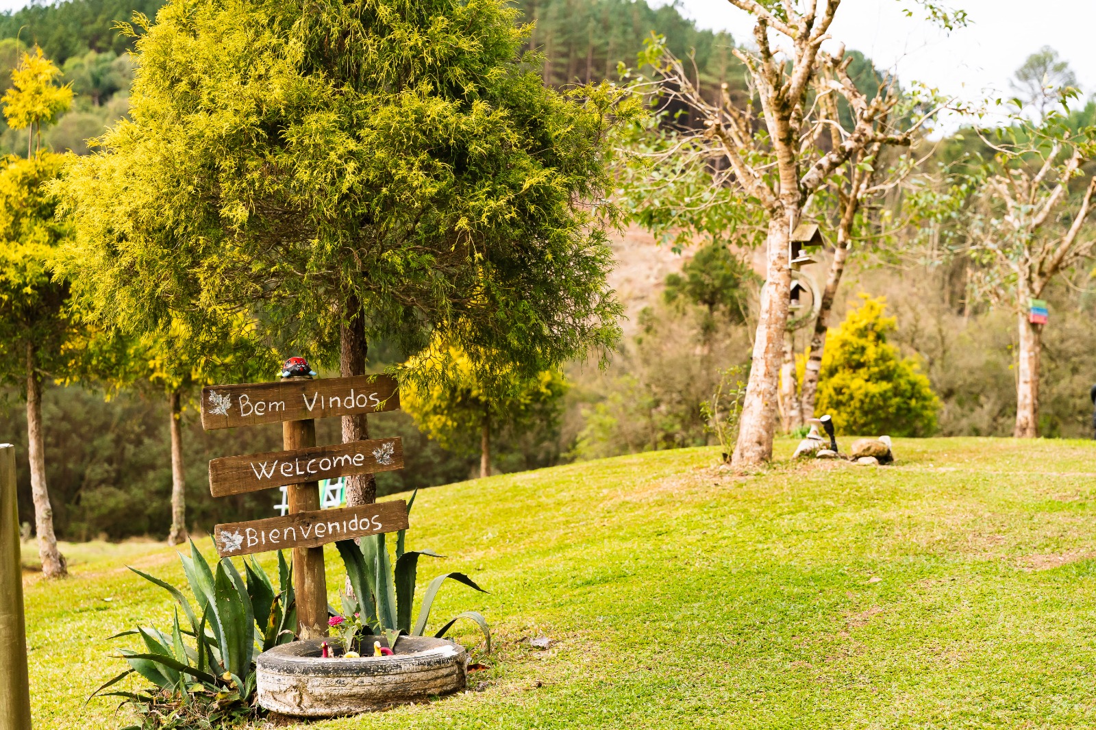 WhatsApp Image 2025-09-05 at 09.46.32